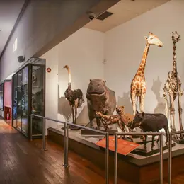 Museum Aquarium de Nancy