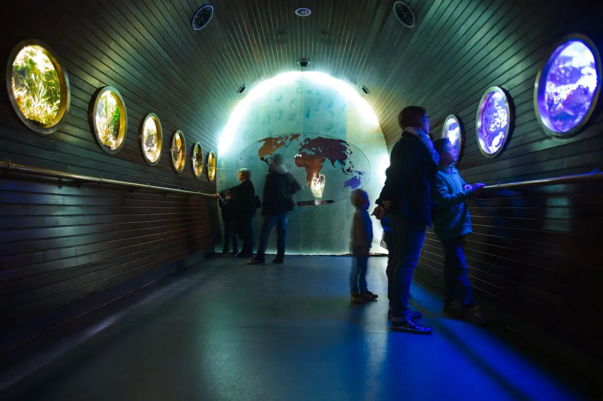Museum Aquarium de Nancy