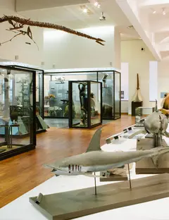 Museum Aquarium de Nancy