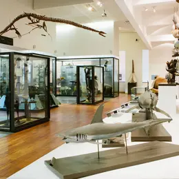 Museum Aquarium de Nancy