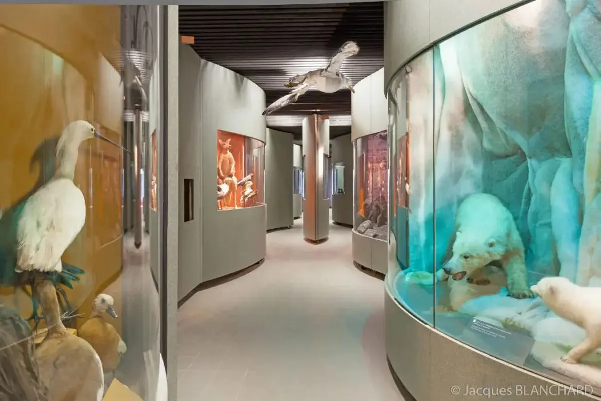 Muséum d’histoire naturelle