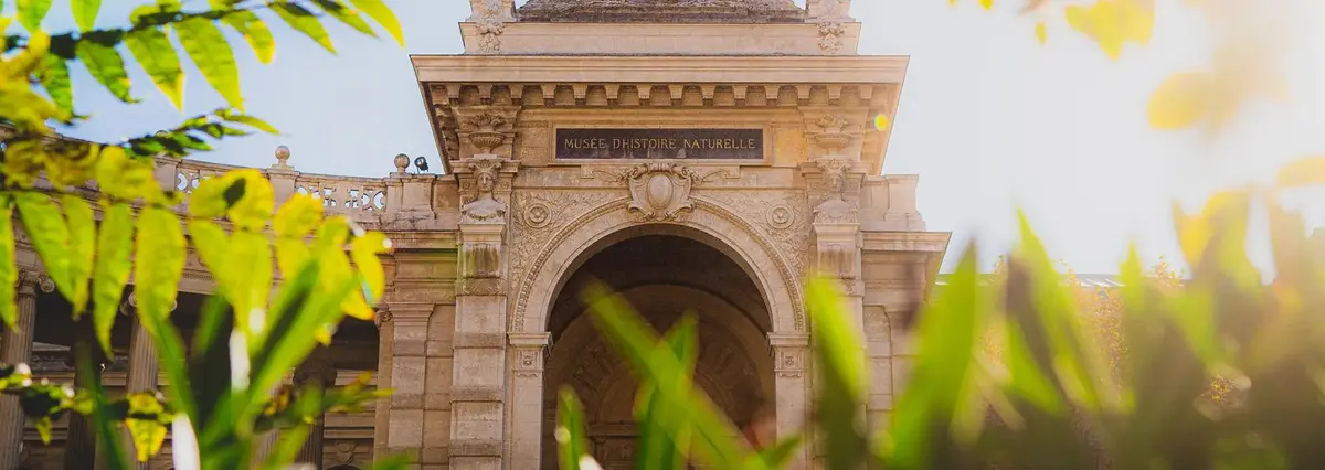Museum d'Histoire Naturelle de Marseille