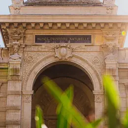 Museum d'Histoire Naturelle de Marseille