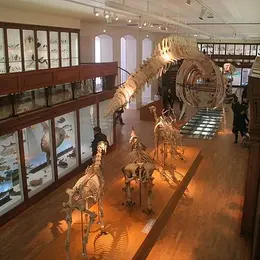 Les 8 monuments emblématiques de la ville de Nantes