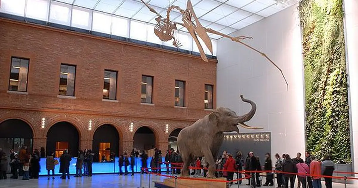 Muséum d’histoire naturelle de Toulouse
