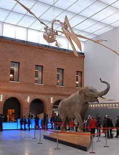 Muséum d’histoire naturelle de Toulouse