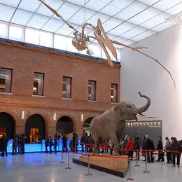 Muséum d’histoire naturelle de Toulouse