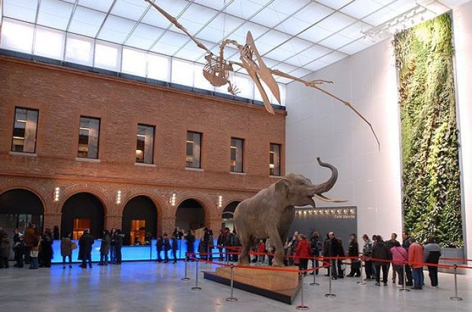 Muséum d’histoire naturelle de Toulouse