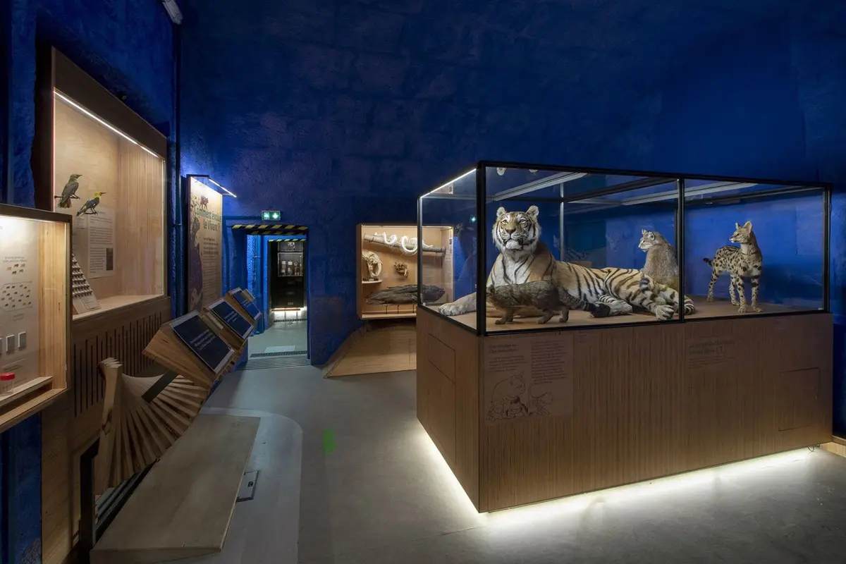 Muséum de Besançon