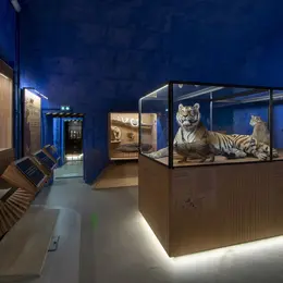 Muséum de Besançon