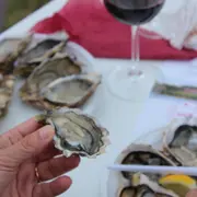 Music and Cook and Wine