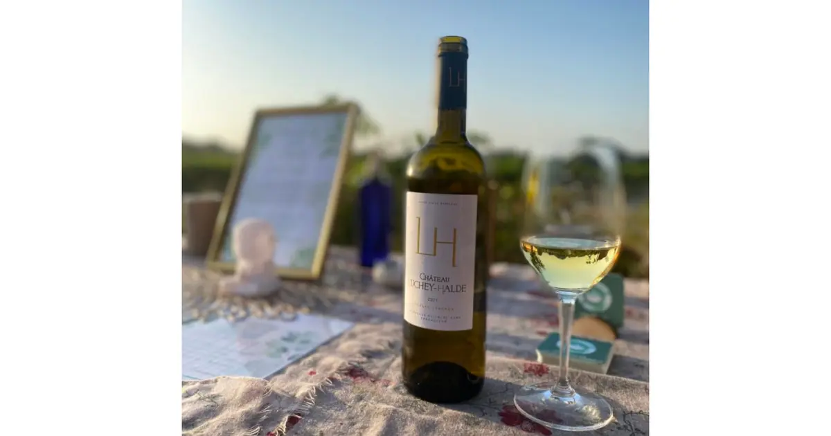 Music & Wine concert au cœur des vignes