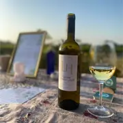 Music & Wine concert au cœur des vignes