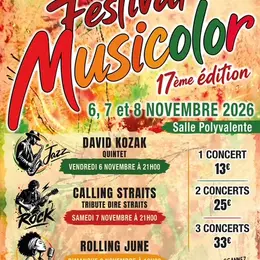 Musicolor - Calling Straits tribute band Rock