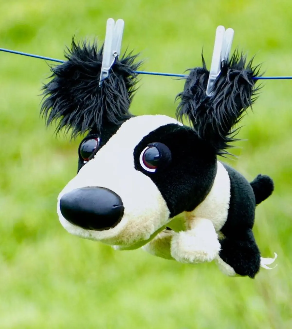 Musique - Le bal des doudous