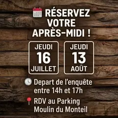 Mystère au coeur de la forêt
