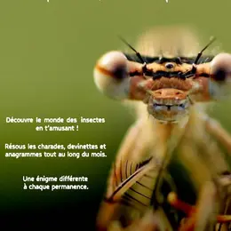 Mystères au jardin