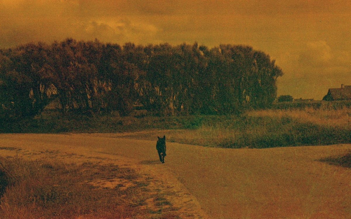 You’ll get there / 2025 (2026)