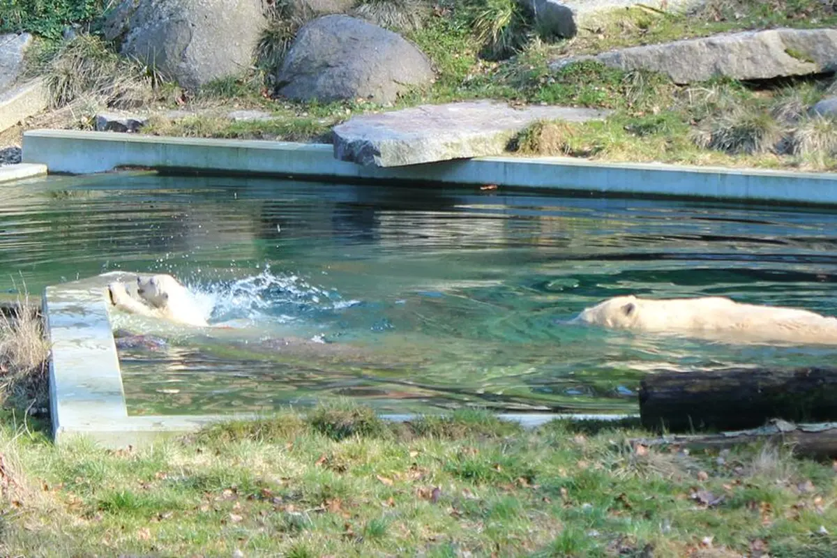 Aïe... c'est pas évident ! La pauvre a bu la tasse.