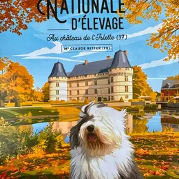 Nationale d’Élevage du Bobtail Club de France