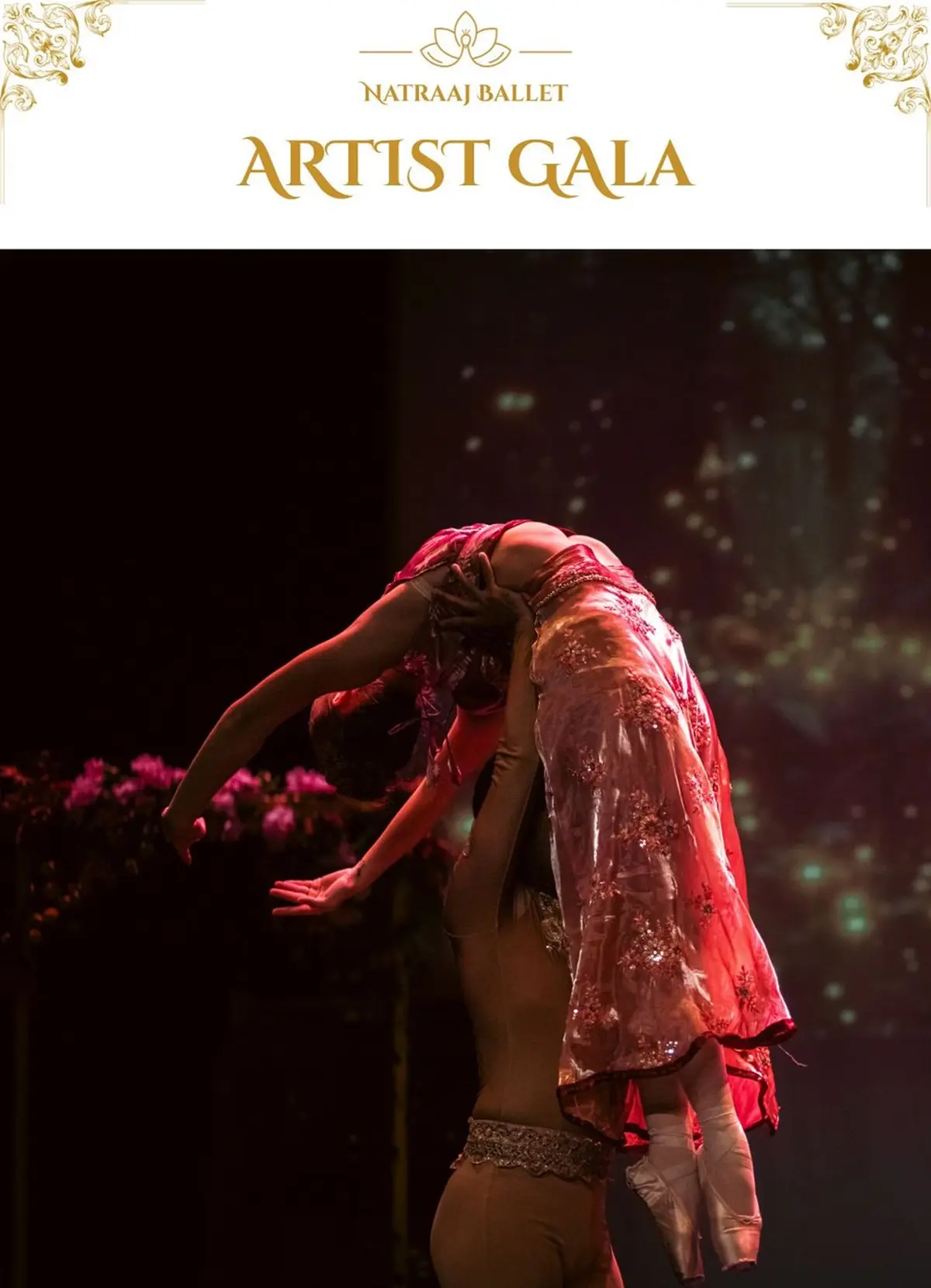 Natraaj Gala des Artistes