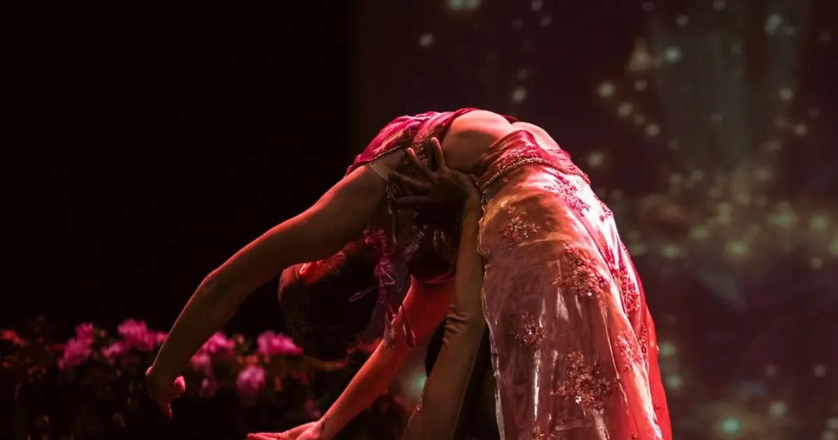 Natraaj Gala des Artistes
