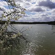 Natur'Olac De La Thésauque
