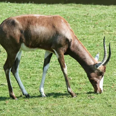 Natur’Zoo
