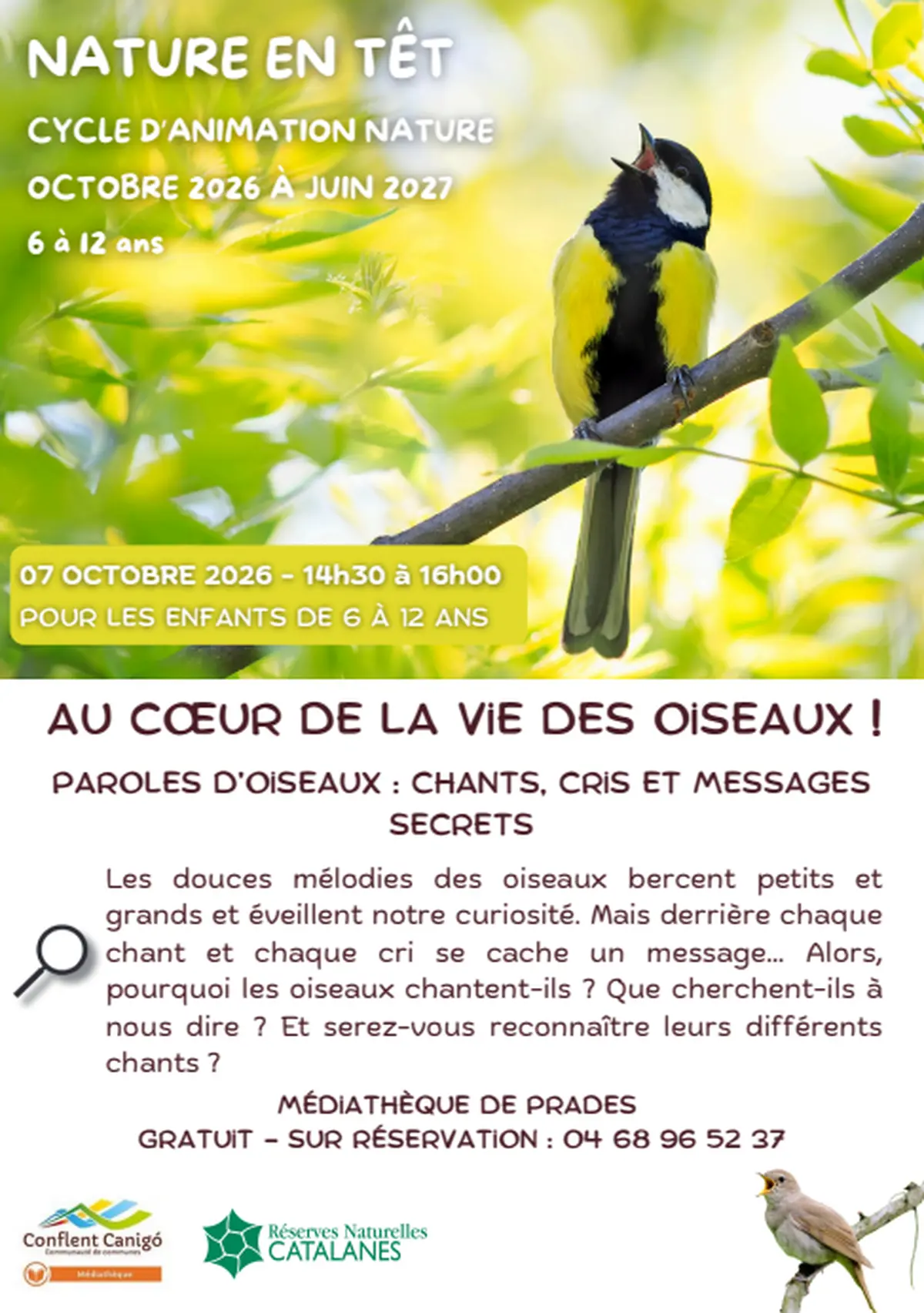 Nature En Têt: Au Coeur De La Vie Des Oiseaux!
