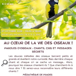 Nature En Têt: Au Coeur De La Vie Des Oiseaux!