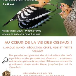 Nature En Têt: L'Amour Au Nid, Séduction, Oeufs, Nids Et Petits Oiseaux