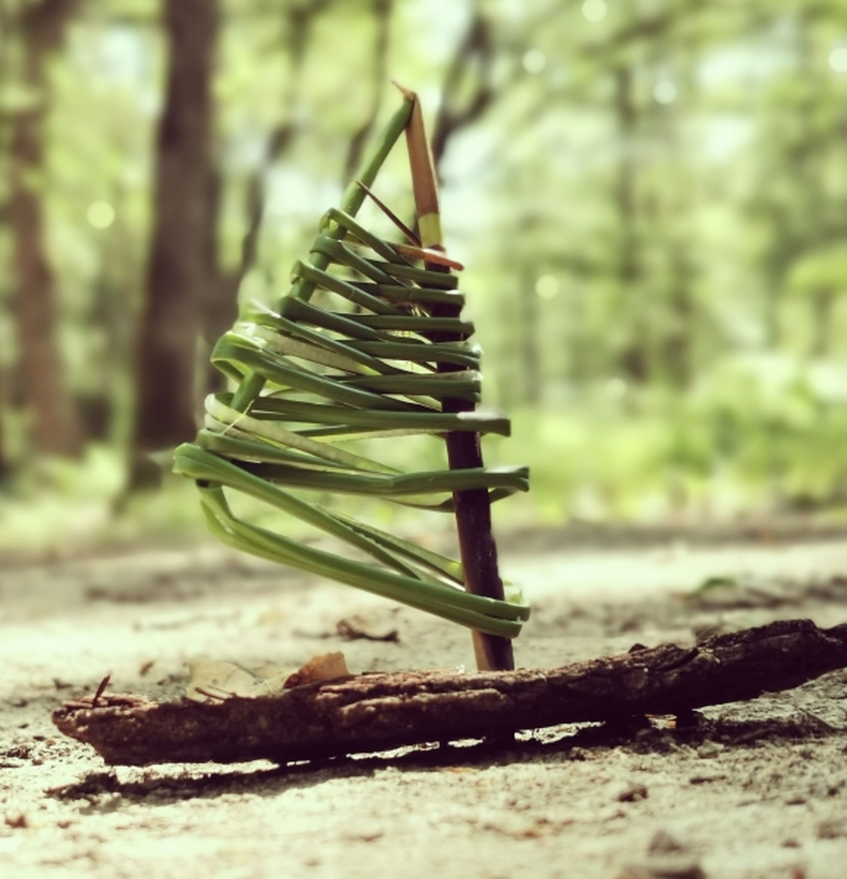 Nature et bout de ficelle