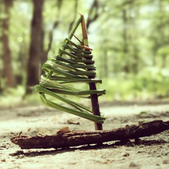 Nature et bout de ficelle