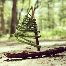 Nature et bout de ficelle
