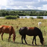 Naturellement visites : Visites du 9équin