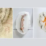 Natures Diverses, oeuvres d'art imprimé