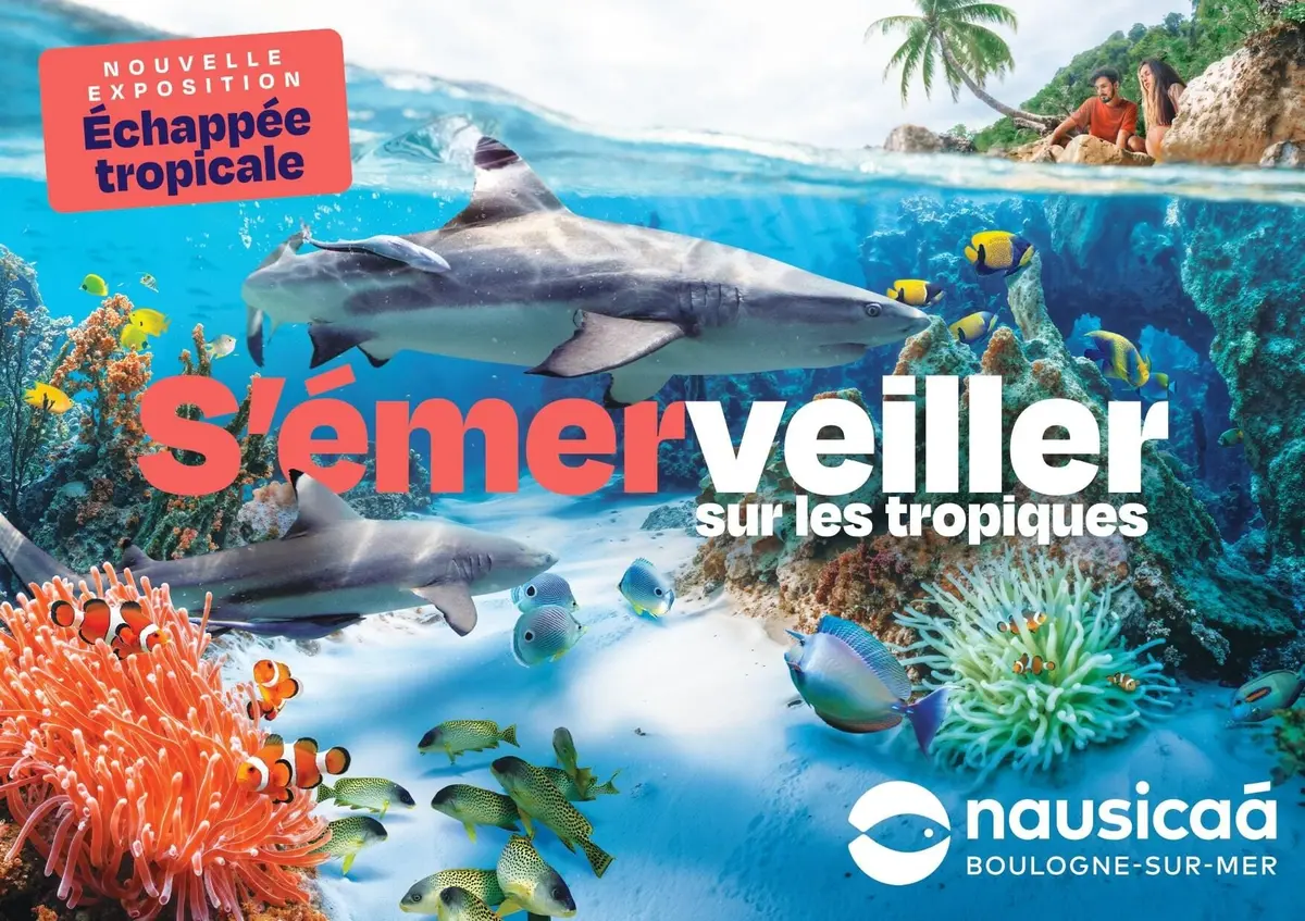 Nausicaa - Centre National de la Mer