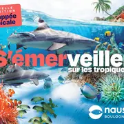 Nausicaa - Centre National de la Mer