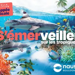Nausicaa - Centre National de la Mer
