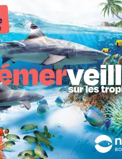 Nausicaa - Centre National de la Mer