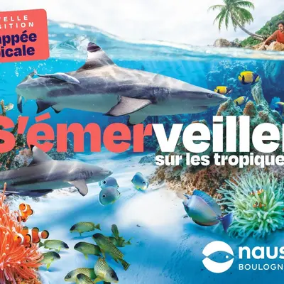 Nausicaa - Centre National de la Mer