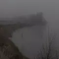 Nebula liger : un fleuve à soi