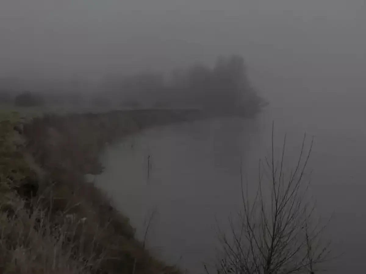 Nebula liger : un fleuve à soi