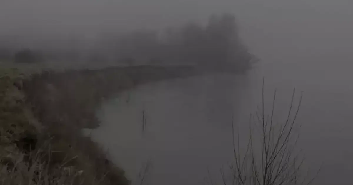 Nebula liger : un fleuve à soi