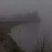 Nebula liger : un fleuve à soi