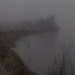 Nebula liger : un fleuve à soi