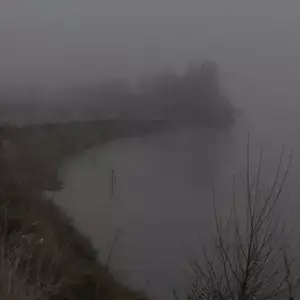 Nebula liger : un fleuve à soi