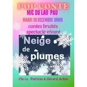 Neige de plumes   conte'spectacle