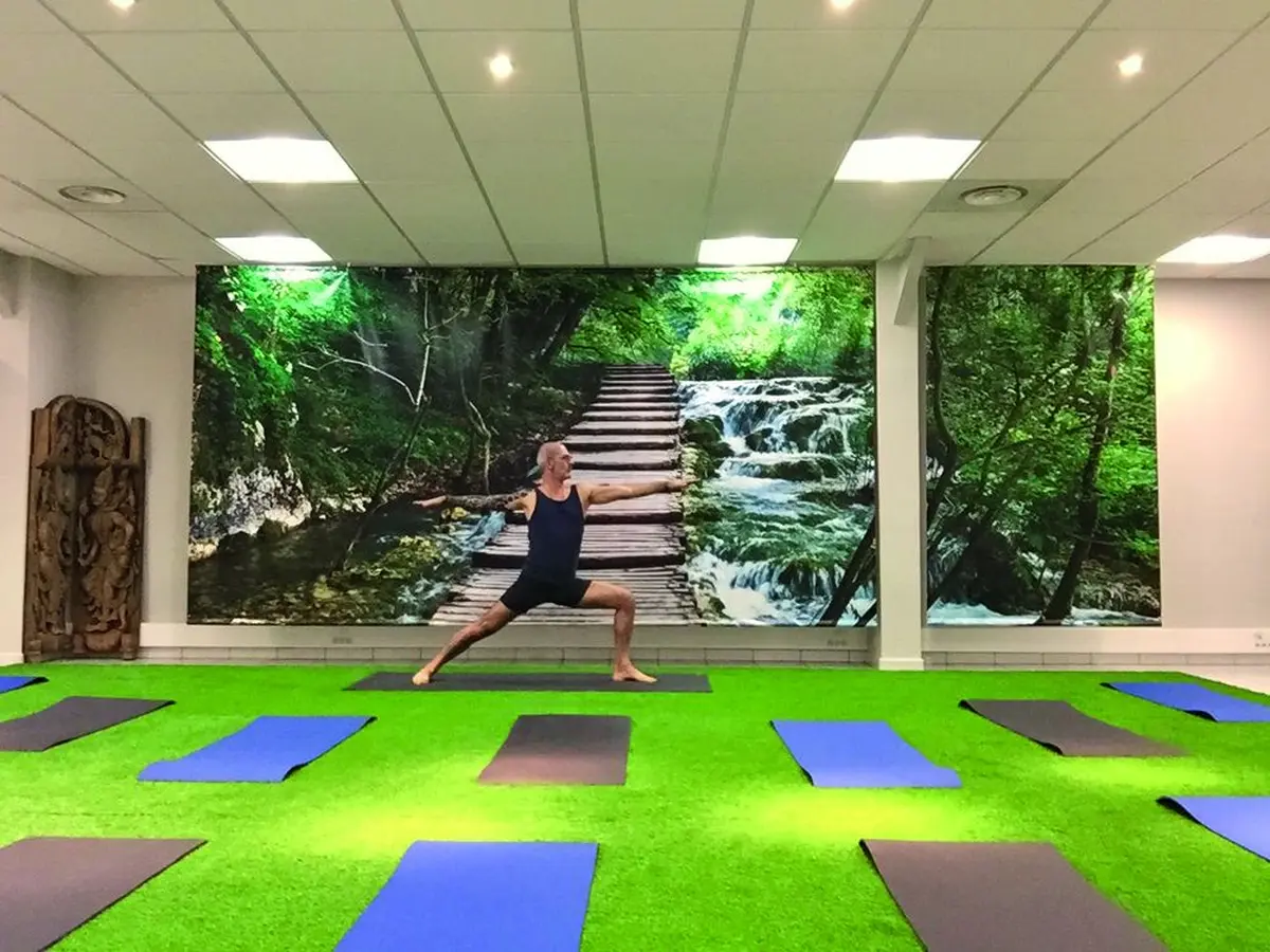 Les cours d'Hatha Yoga dispensés par Ferdinand