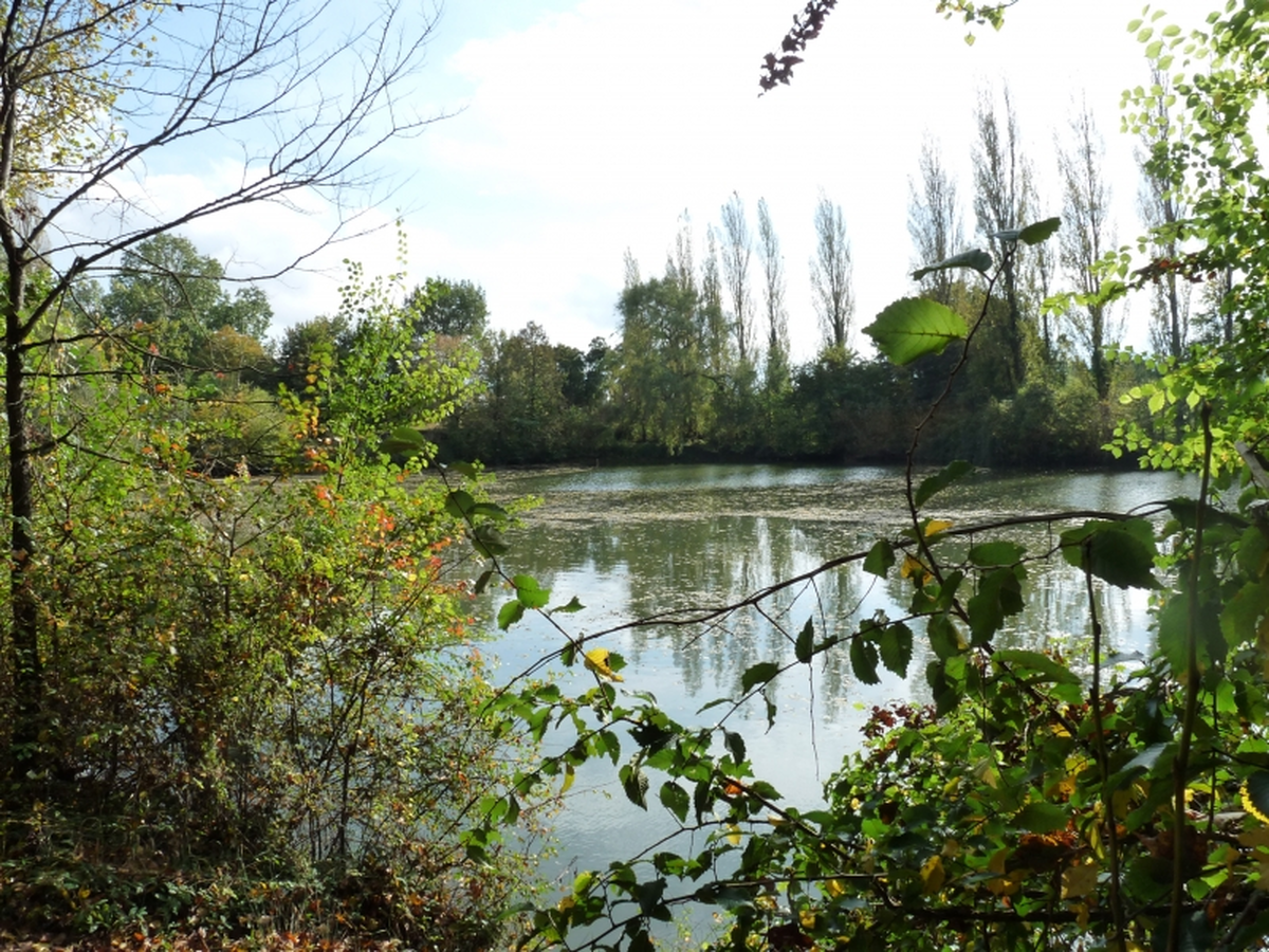Nettoyage de la nature en bord de Loire
